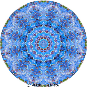 Kaleidoscopic image created from a shot of a blue dragon ... by Patrick Reardon 